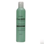 Ficha técnica e caractérísticas do produto Shampoo Fortalecedor 15 Ervas Capi Hair Abelha Rainha 250ml