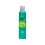 Ficha técnica e caractérísticas do produto Shampoo Fortalecedor 15 Ervas Capi Hair Abelha Rainha 250Ml