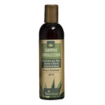Shampoo Fortalecedor Cabelos Normais/Oleosos 240ml - Live Aloe