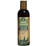 Shampoo Fortalecedor Gel de Aloe Vera, Noni, Açafrão e Óleo de Castanha do Brasil 240 Ml Live Aloe