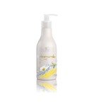 Ficha técnica e caractérísticas do produto Shampoo Fresh Camomila Salvatore 300 Ml