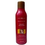 Ficha técnica e caractérísticas do produto Shampoo Henna Surya Color Fixation 250ml