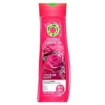 Ficha técnica e caractérísticas do produto Shampoo Herbal Essences 300 Ml - Color me Happy