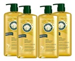 Ficha técnica e caractérísticas do produto Shampoo Herbal Essences Shine Collection 1 L - Cx 4