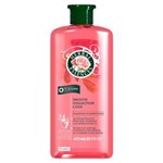 Ficha técnica e caractérísticas do produto Shampoo Herbal Essences Smooth Collection Lisse - 400ml