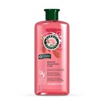 Ficha técnica e caractérísticas do produto Shampoo Herbal Essences Smooth Collection Lisse