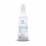Ficha técnica e caractérísticas do produto Shampoo Hidrat 500ml – Argan Tree Liss