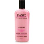 Ficha técnica e caractérísticas do produto Shampoo Hidratante e Restaurador - 250ml - Basic Hair