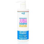 Ficha técnica e caractérísticas do produto Shampoo Higienizando a Juba - Widi Care - 500ml