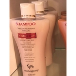 Ficha técnica e caractérísticas do produto Shampoo Hydraction 400 Ml