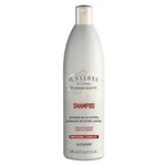 Ficha técnica e caractérísticas do produto Shampoo Il Salone Proteção da Cor e Brilho - 500ml