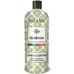 Ficha técnica e caractérísticas do produto Shampoo Inoar Color System Limpeza 1L