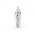 Shampoo Isotônico Sulfato Free - Terra Coco
