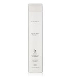 Ficha técnica e caractérísticas do produto Shampoo Lanza Healing Remedy Scalp Balancing Cleanser - 300 Ml