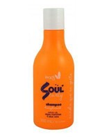 Ficha técnica e caractérísticas do produto Shampoo Manutencao Soul Curly Leads Care 300ml