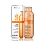 Ficha técnica e caractérísticas do produto Shampoo Manutenção Ybera Detox Healthy 250ml