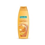 Ficha técnica e caractérísticas do produto Shampoo Palmolive Naturals Reparação Completa - 350ml