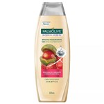 Ficha técnica e caractérísticas do produto Shampoo Palmolive Natureza Secreta Brilho Fascinante 325ml