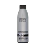 Ficha técnica e caractérísticas do produto Shampoo para Cabelos Grisalhos Grey L`Oréal Homme