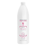 Ficha técnica e caractérísticas do produto Shampoo para Cabelos Lisos Alfaparf Alfaparf Precious Nature Thirsty Hair