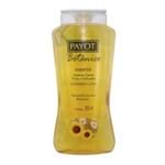 Ficha técnica e caractérísticas do produto Shampoo Payot Botânico Camomila, Girassol e Nutrimel 300ml