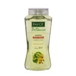 Ficha técnica e caractérísticas do produto Shampoo Payot Botânico Tília e Hamamélis com 300ml