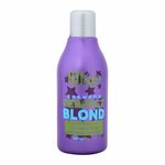 Ficha técnica e caractérísticas do produto Shampoo Perfect Blond 300ml Ilike