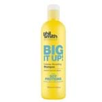 Ficha técnica e caractérísticas do produto Shampoo Phil Smith Big It Up! Volume Boosting 350ml