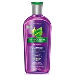 Ficha técnica e caractérísticas do produto Shampoo Phytoervas Antiqueda 250ml