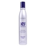 Ficha técnica e caractérísticas do produto Shampoo Plus Lanza Keratin Bond - 300 Ml