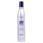 Ficha técnica e caractérísticas do produto Shampoo Plus Lanza Keratin Bond 300ml