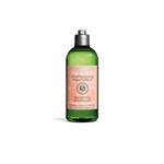 Ficha técnica e caractérísticas do produto Shampoo Reparador L'Occitane En Provence Aromacologia 300ml