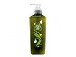 Shampoo Revitalizante G.A.C Shampoo 480 Ml - N.P.P.E