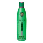Ficha técnica e caractérísticas do produto Shampoo Salon Opus Flor de Cactus - 350ml