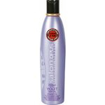 Ficha técnica e caractérísticas do produto Shampoo Salon Opus Violet 350 ml