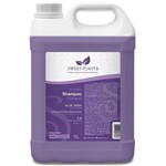 Ficha técnica e caractérísticas do produto Shampoo Sweet Friend Aloe Vera para Gatos - Sweet Plants 5 Litros