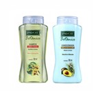 Shampoo Tília e Hamamélis 300ml + Condicionador Alecrim e Abacate 300ml - Linha Botânico Payot Kit C/2 Itens
