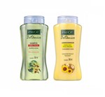 Shampoo Tília e Hamamélis 300ml + Condicionador Camomila Girassol Nutrimel 300ml - Linha Botânico Payot Kit C/2 Itens