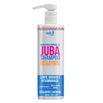 Ficha técnica e caractérísticas do produto Shampoo Widi Care Higienizando a Juba - 500ml