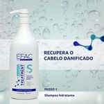 Ficha técnica e caractérísticas do produto Kit 3 Shampoo Premium Treatment EFAC 1l cada
