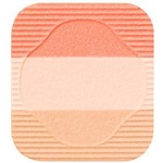 Ficha técnica e caractérísticas do produto Shiseido Face Color Enhancing Trio
