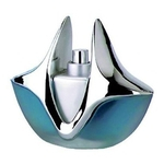Ficha técnica e caractérísticas do produto Silver Light Linn Young - Perfume Feminino - Eau De Parfum 100ml