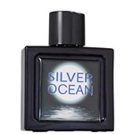 Ficha técnica e caractérísticas do produto Silver Ocean Coscentra Eau de Toilette - Perfume Masculino 100ml