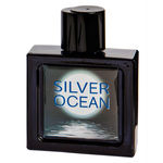 Ficha técnica e caractérísticas do produto Silver Ocean Omerta Perfume Masculino - Eau De Toilette