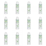 Ficha técnica e caractérísticas do produto Simple Glente Care Desodorante Aerosol Feminino 150ml (Kit C/12)