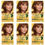 Ficha técnica e caractérísticas do produto Soft Color Coloração Kit 67 Chocolate (Kit C/06)