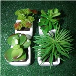 Ficha técnica e caractérísticas do produto Suculenta Mini Planta Artificial com Vaso Branco Mudas Enfeite Festa Kit com 4 Unid