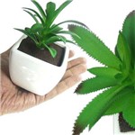Suculenta Planta Artificial Cacto com Vaso Branco Decoracao Festa Ponta Vermelha