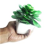 Ficha técnica e caractérísticas do produto Suculenta Planta Artificial com Vaso Branco Decoracao Festa Jardim Verde