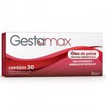 Ficha técnica e caractérísticas do produto Suplemento Vitamínico Gestamax 30 Cápsulas